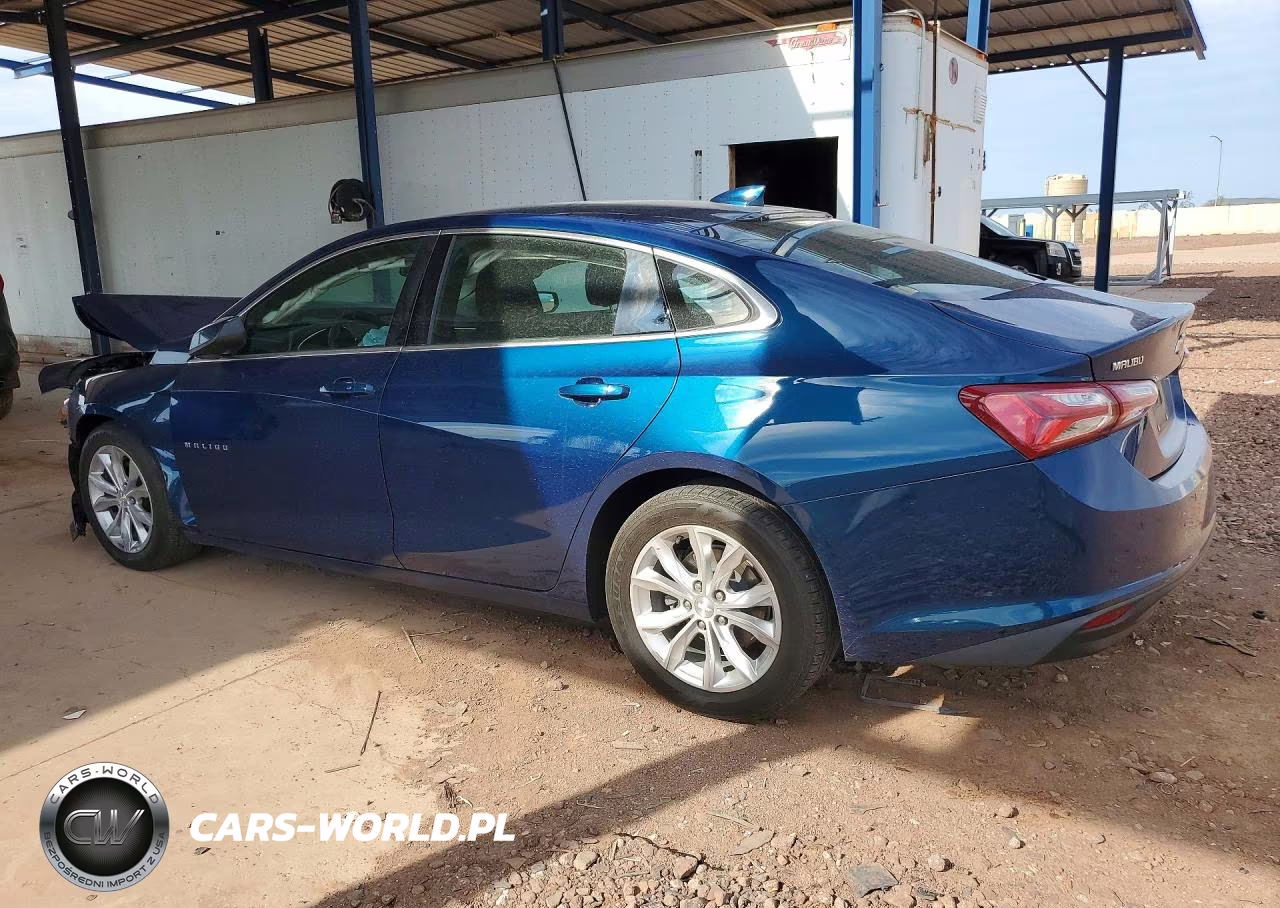 2019 Chevrolet Malibu Lt VIN:1G1ZD5ST3KF209287 - 2