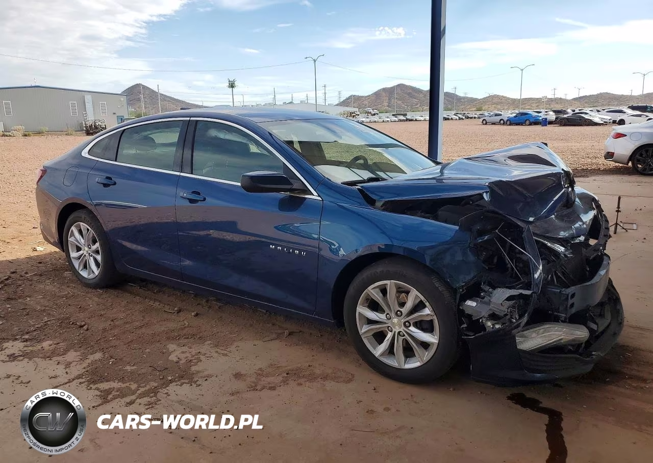 2019 Chevrolet Malibu Lt VIN:1G1ZD5ST3KF209287 - 4