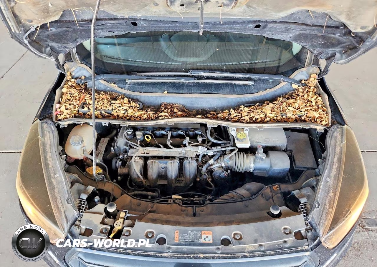 2019 Ford Escape S VIN:1FMCU0F75KUA20578 - 12