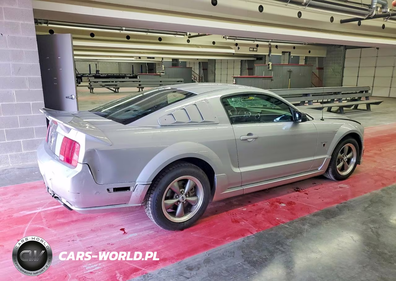 2005 Ford Mustang Gt Deluxe-Gt Premium VIN:1ZVFT82H955227391 - 3
