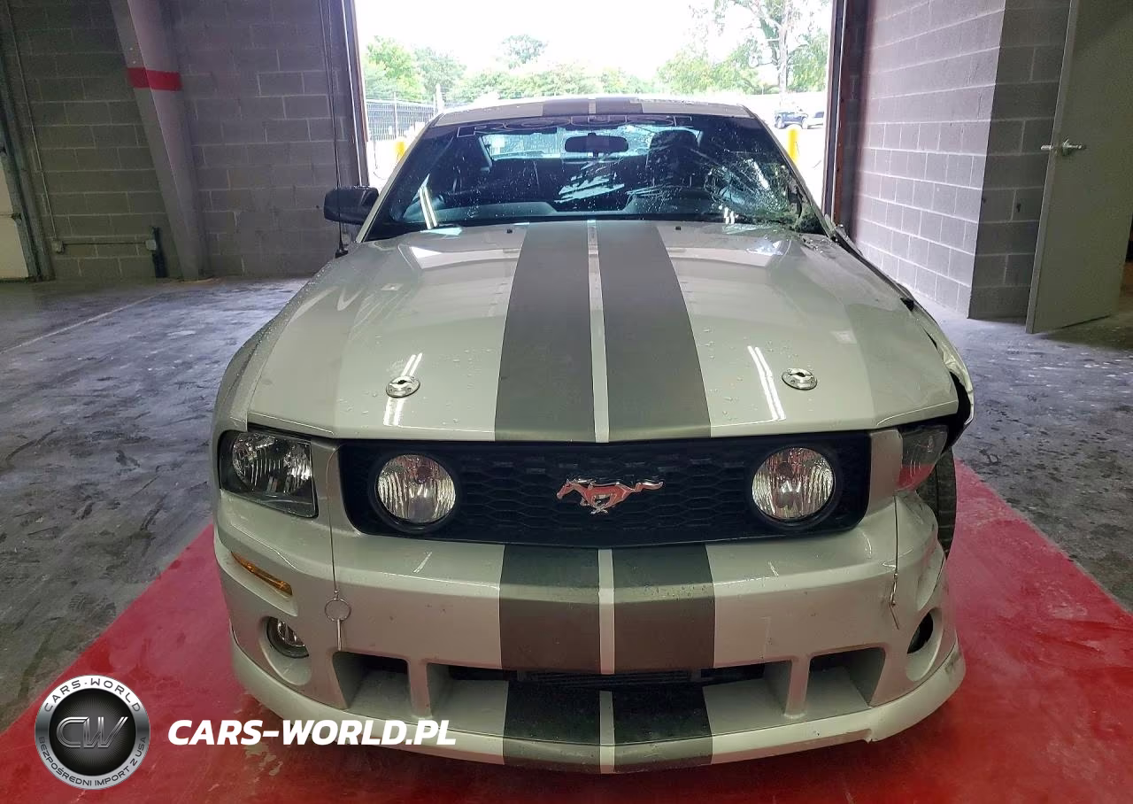 2005 Ford Mustang Gt Deluxe-Gt Premium VIN:1ZVFT82H955227391 - 5