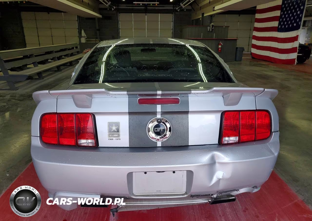 2005 Ford Mustang Gt Deluxe-Gt Premium VIN:1ZVFT82H955227391 - 6