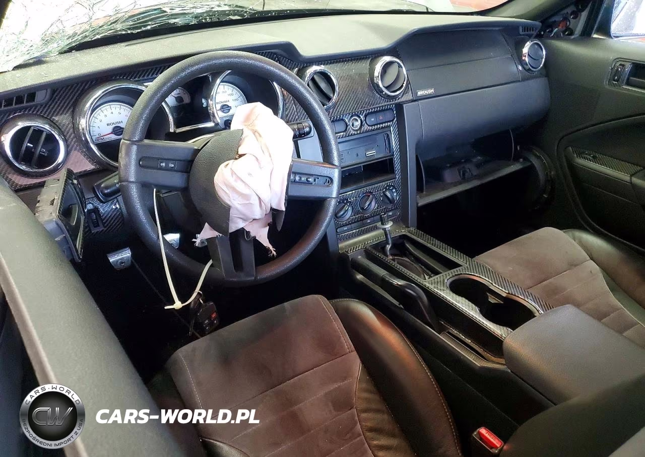 2005 Ford Mustang Gt Deluxe-Gt Premium VIN:1ZVFT82H955227391 - 8