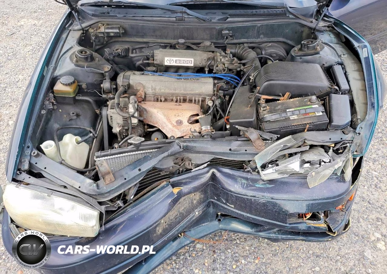 1994 Toyota Camry Le VIN:4T1SK12E8RU341536 - 11