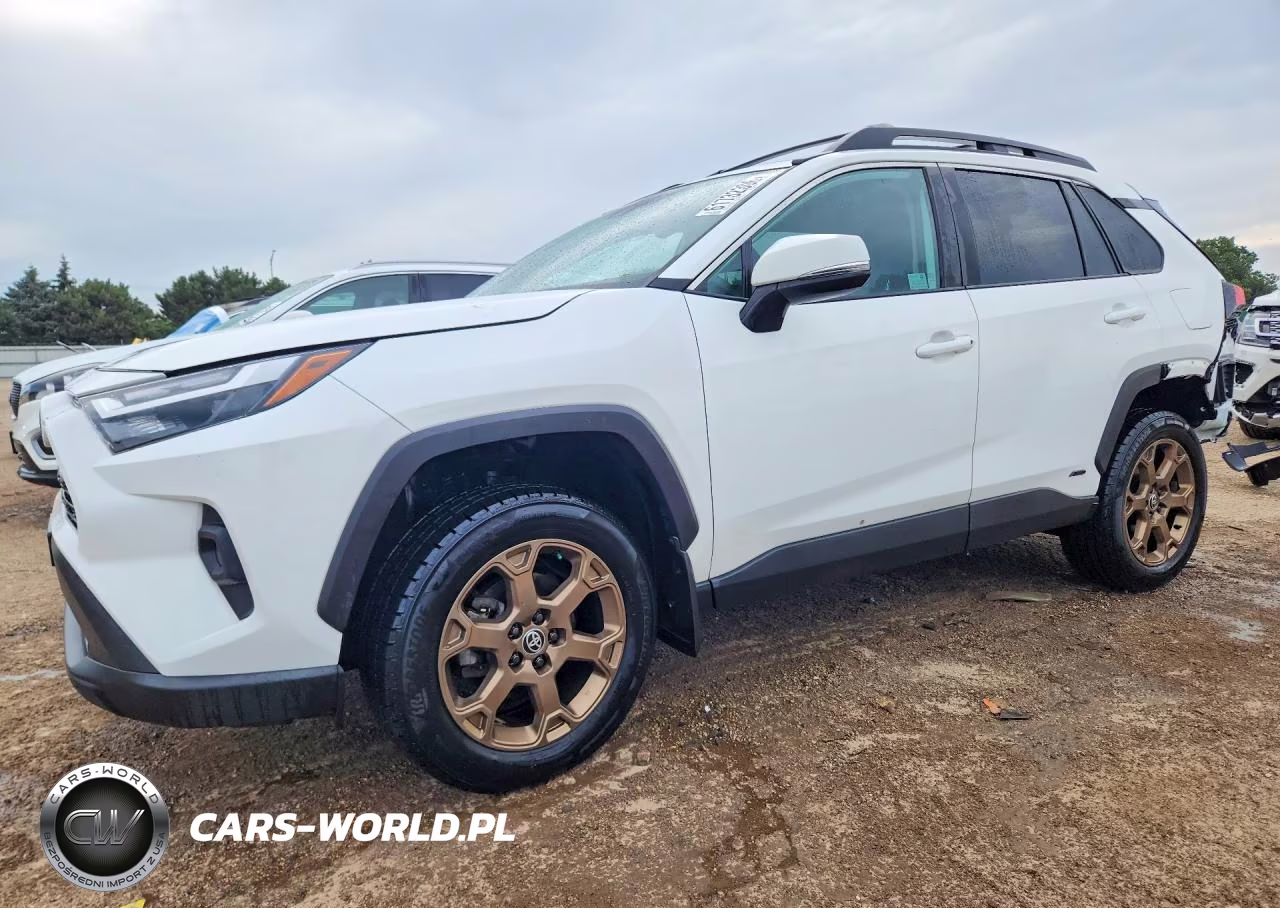 2023 Toyota Rav4 Woodland Edition VIN:2T3UWRFV7PW179439 - 1