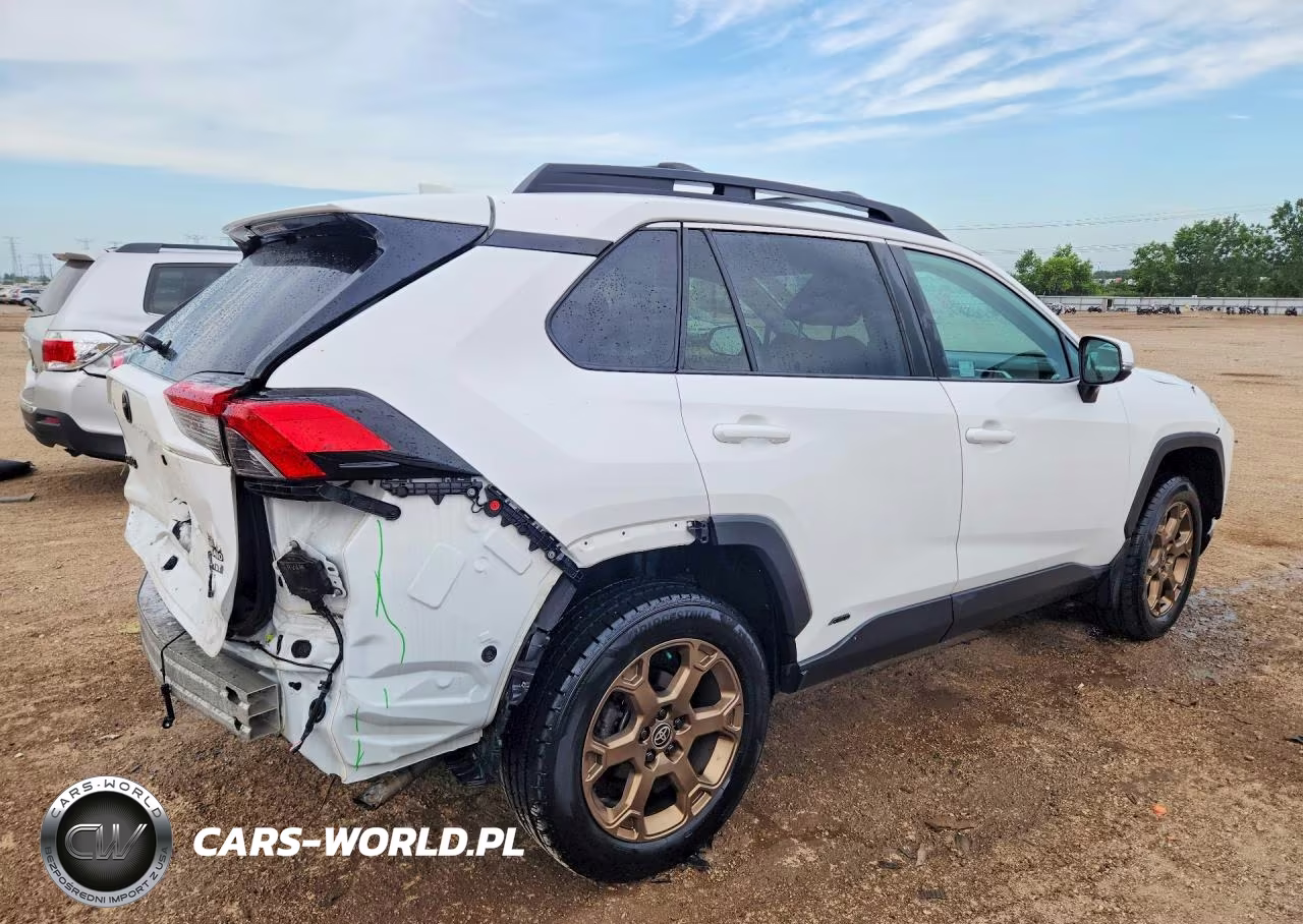 2023 Toyota Rav4 Woodland Edition VIN:2T3UWRFV7PW179439 - 3