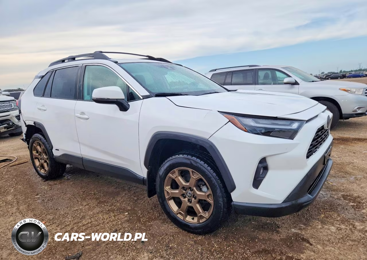2023 Toyota Rav4 Woodland Edition VIN:2T3UWRFV7PW179439 - 4