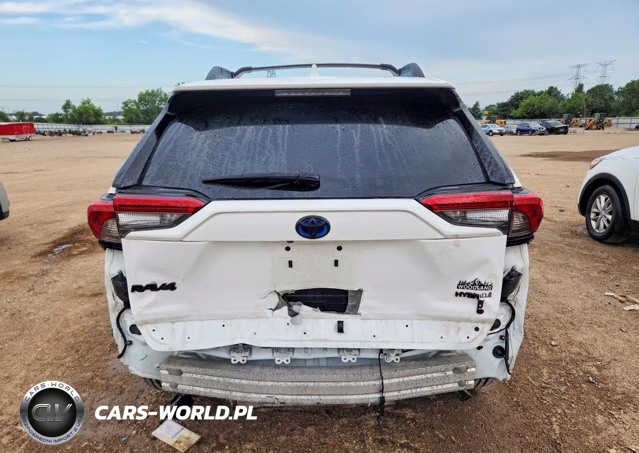 2023 Toyota Rav4 Woodland Edition VIN:2T3UWRFV7PW179439 - 6