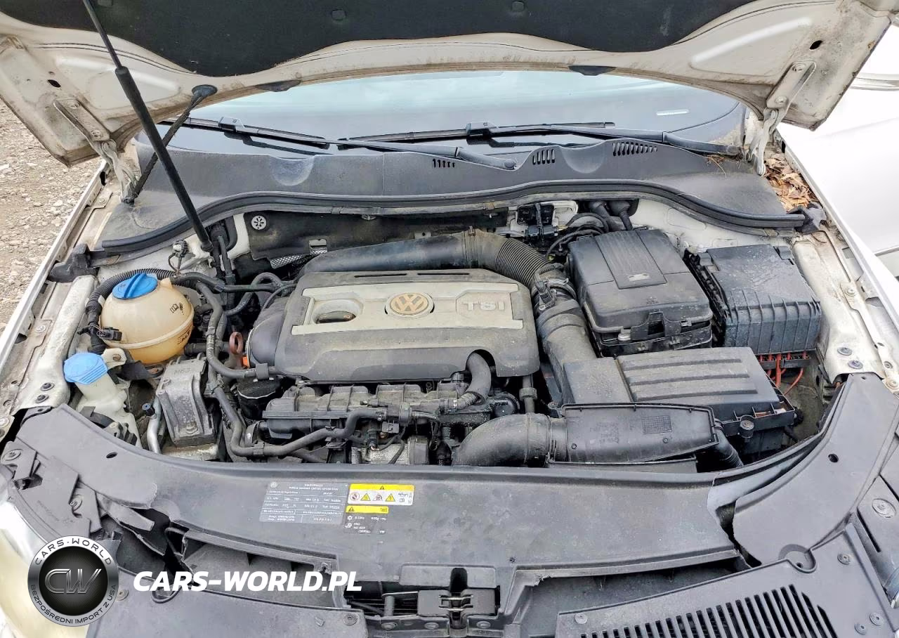 2010 Volkswagen Passat Komfort VIN:WVWJM7AN1AE140039 - 11