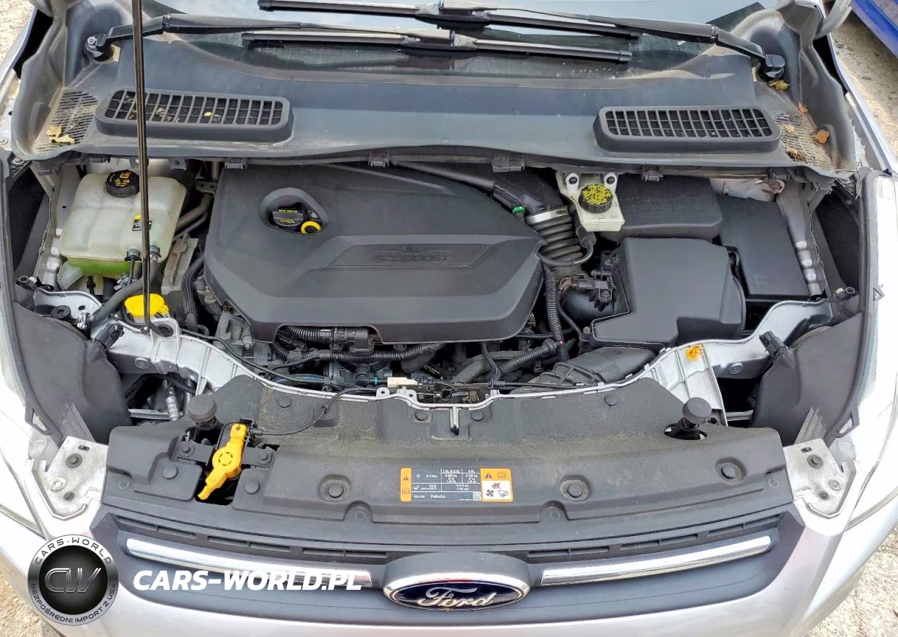 2013 Ford Escape Se VIN:1FMCU0GX7DUA38632 - 12