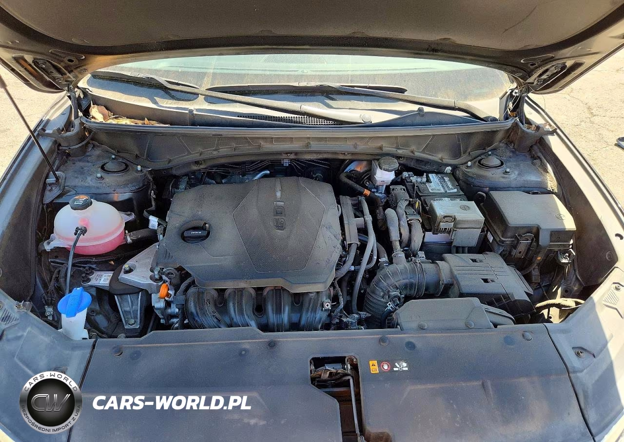 2024 Hyundai Tucson Sel VIN:5NMJBCDEXRH305332 - 12