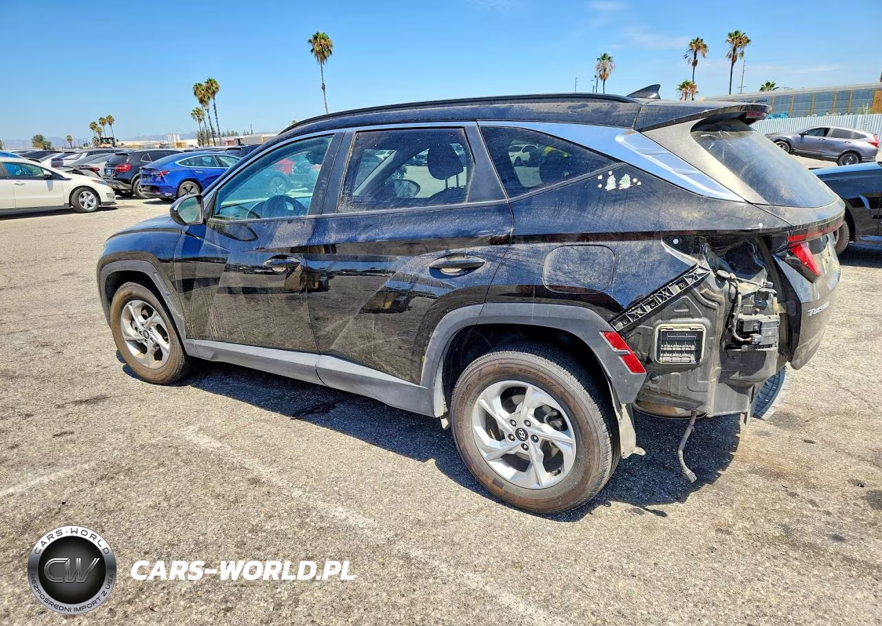 2024 Hyundai Tucson Sel VIN:5NMJBCDEXRH305332 - 2