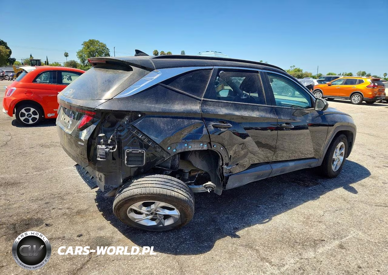 2024 Hyundai Tucson Sel VIN:5NMJBCDEXRH305332 - 3