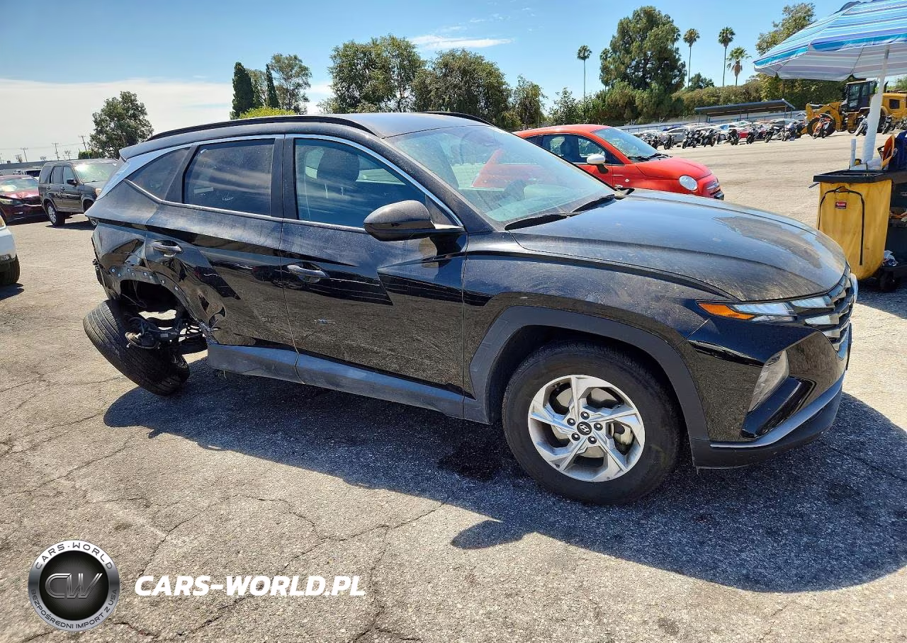 2024 Hyundai Tucson Sel VIN:5NMJBCDEXRH305332 - 4