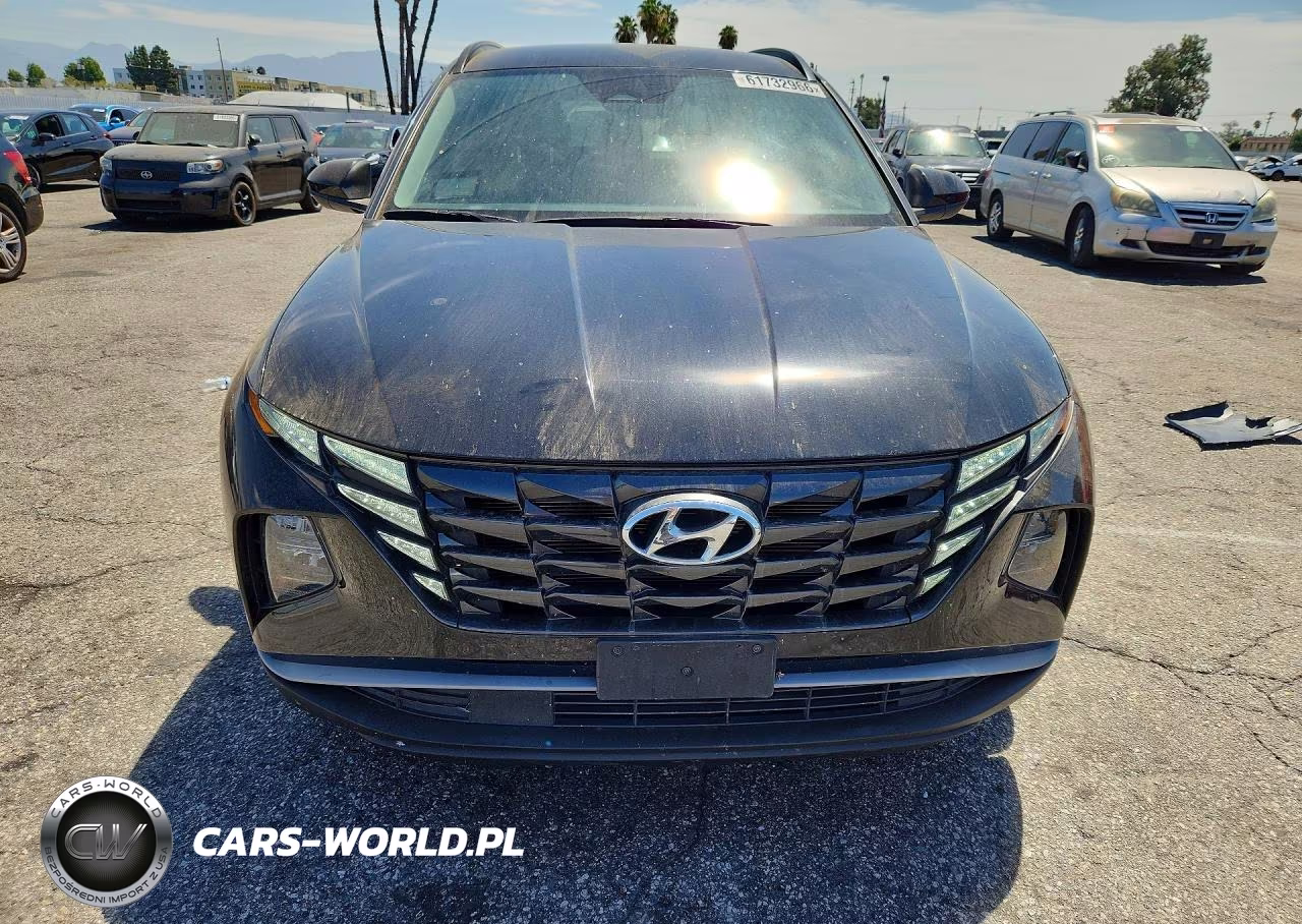 2024 Hyundai Tucson Sel VIN:5NMJBCDEXRH305332 - 5