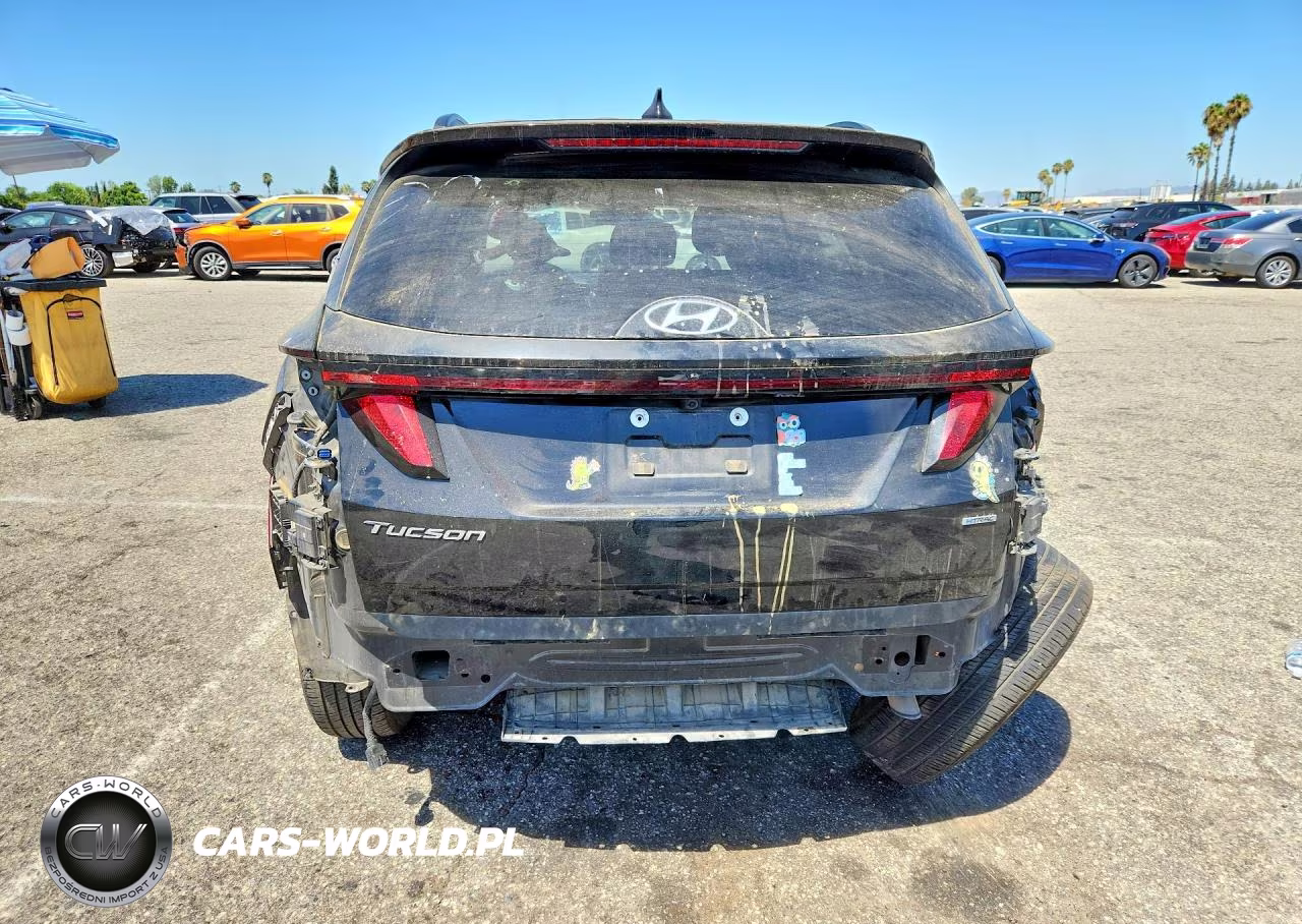 2024 Hyundai Tucson Sel VIN:5NMJBCDEXRH305332 - 6