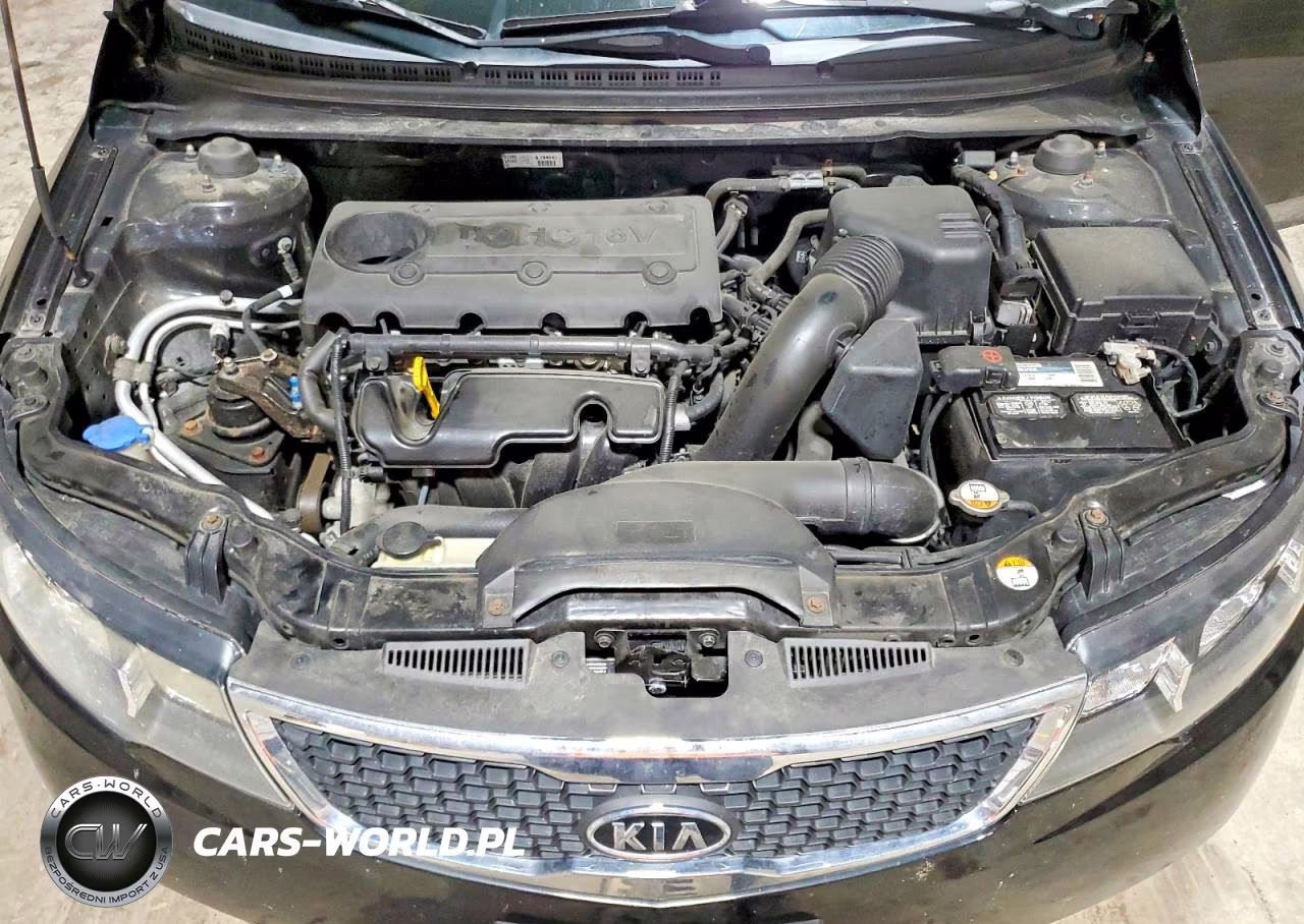 2013 Kia Forte Ex VIN:KNAFU4A29D5709828 - 11