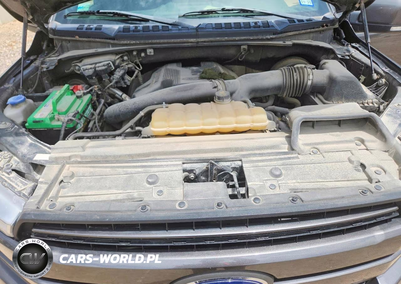 2019 Ford F150 Supercrew VIN:1FTEW1C45KKC11825 - 11