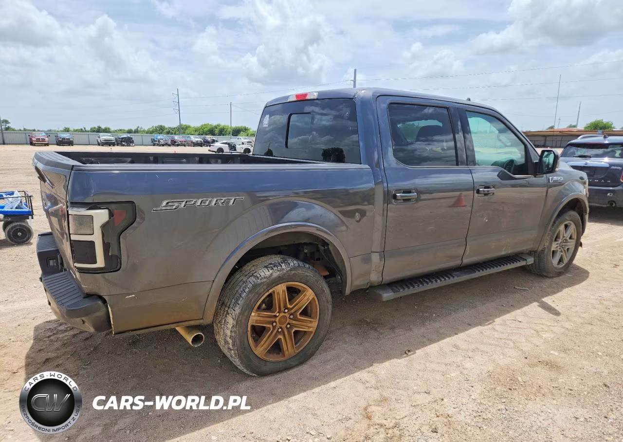 2019 Ford F150 Supercrew VIN:1FTEW1C45KKC11825 - 3