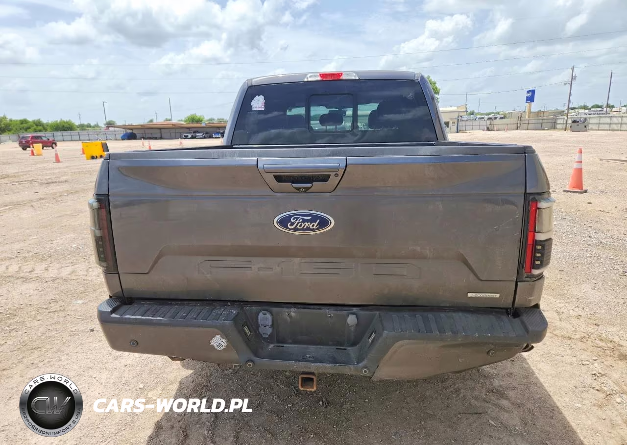 2019 Ford F150 Supercrew VIN:1FTEW1C45KKC11825 - 6