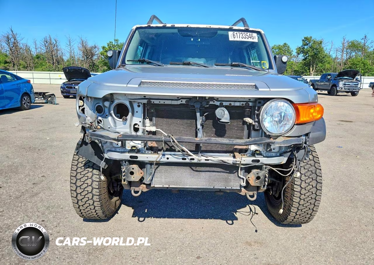 2009 Toyota Fj Cruiser Base VIN:JTEBU11FX9K069474 - 5
