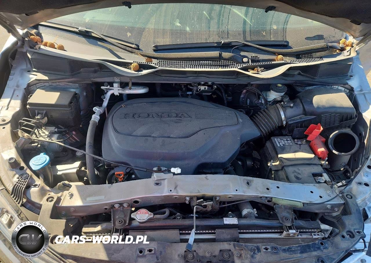 2021 Honda Odyssey Lx VIN:5FNRL6H29MB043072 - 12
