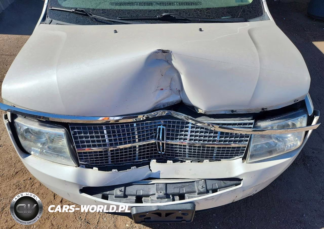 2009 Lincoln Mkx VIN:2LMDU88C69BJ06466 - 12