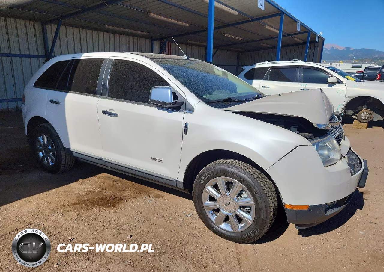 2009 Lincoln Mkx VIN:2LMDU88C69BJ06466 - 4
