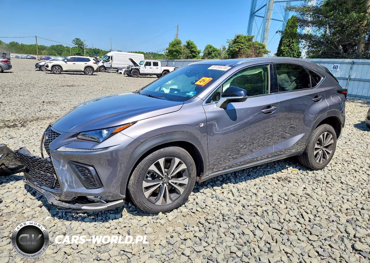 2021 Lexus Nx 300 F Sport