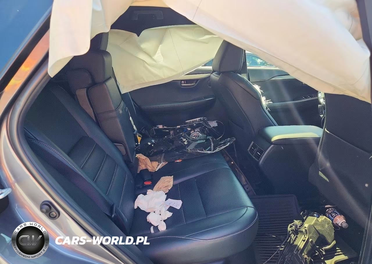 2021 Lexus Nx 300 F Sport VIN:JTJSARDZ9M2243428 - 10