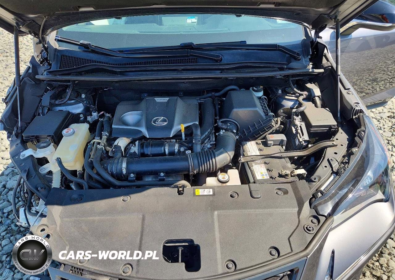 2021 Lexus Nx 300 F Sport VIN:JTJSARDZ9M2243428 - 11