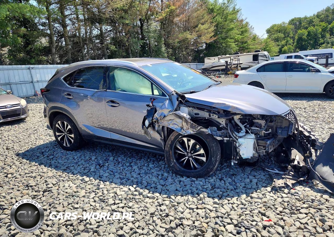 2021 Lexus Nx 300 F Sport VIN:JTJSARDZ9M2243428 - 4