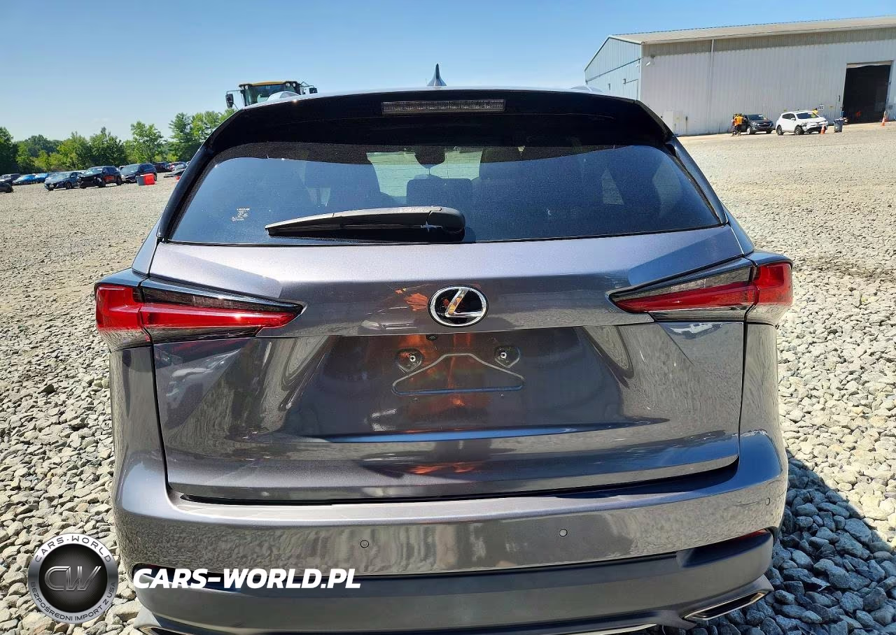 2021 Lexus Nx 300 F Sport VIN:JTJSARDZ9M2243428 - 6