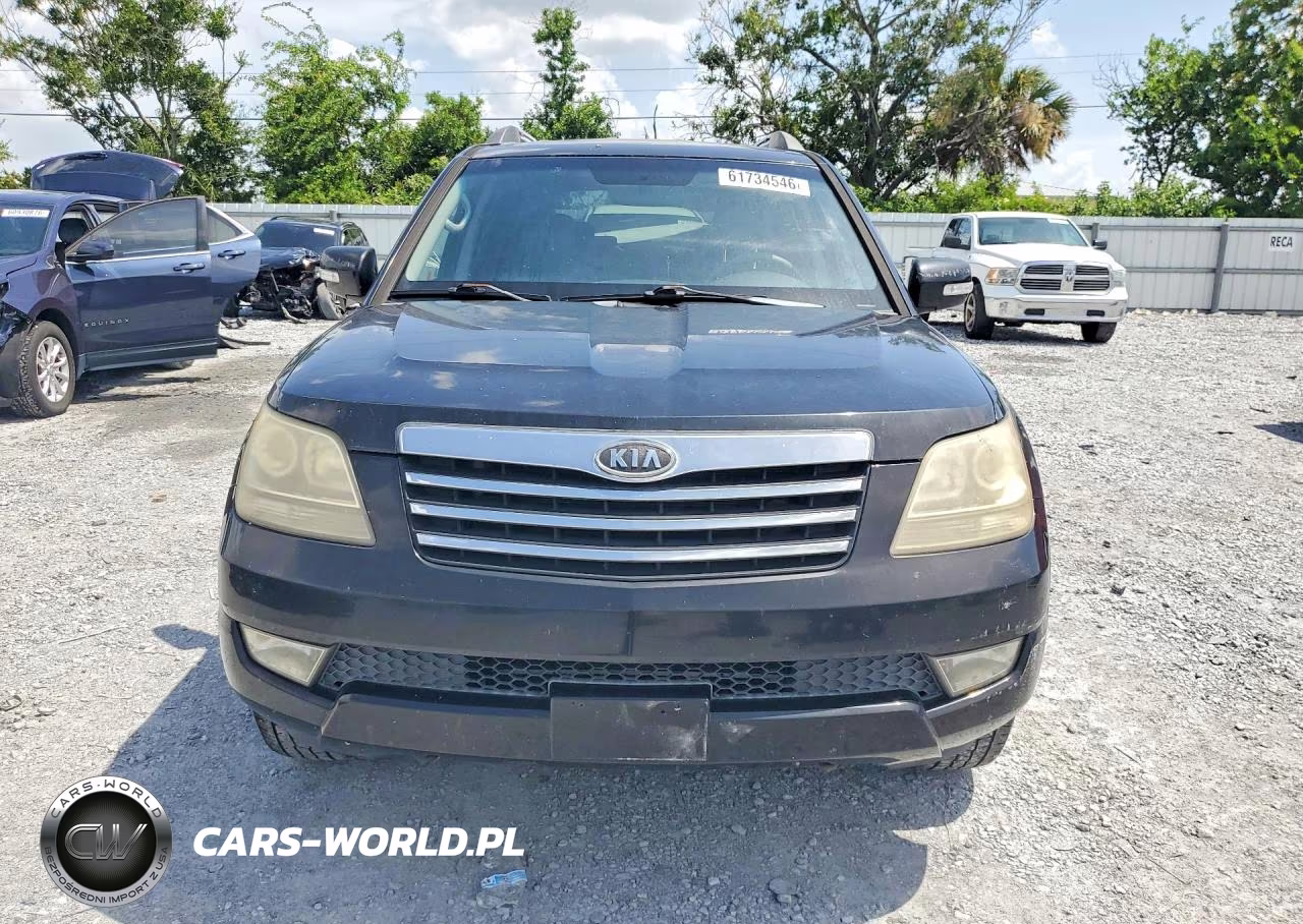 2009 Kia Borrego Lx VIN:KNDJJ741295033515 - 5
