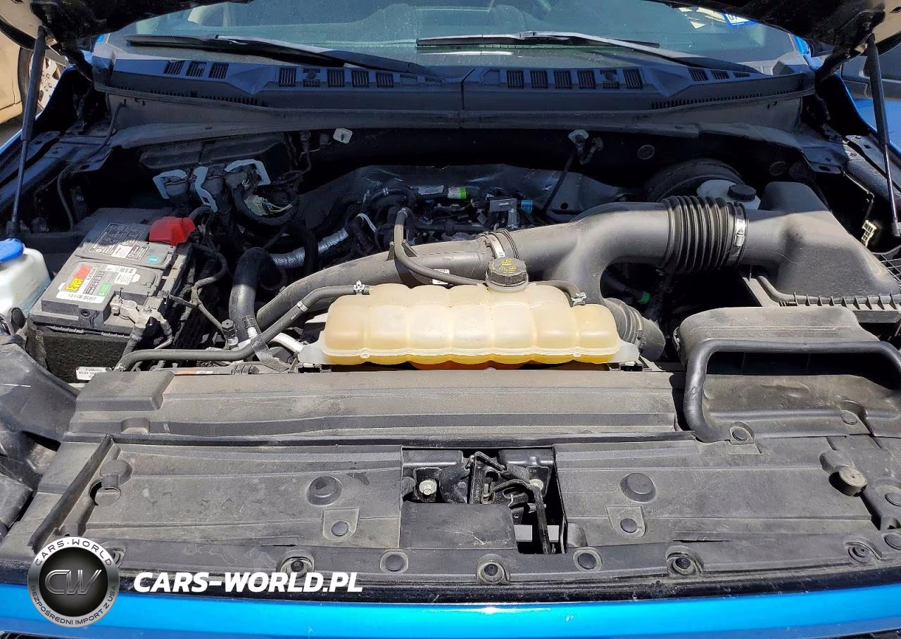 2019 Ford F150 Supercrew VIN:1FTEW1CP2KFD28975 - 11