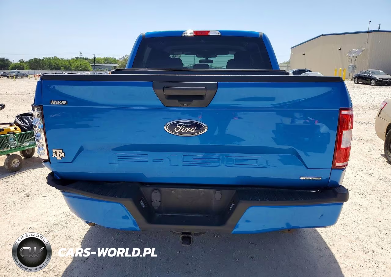 2019 Ford F150 Supercrew VIN:1FTEW1CP2KFD28975 - 6