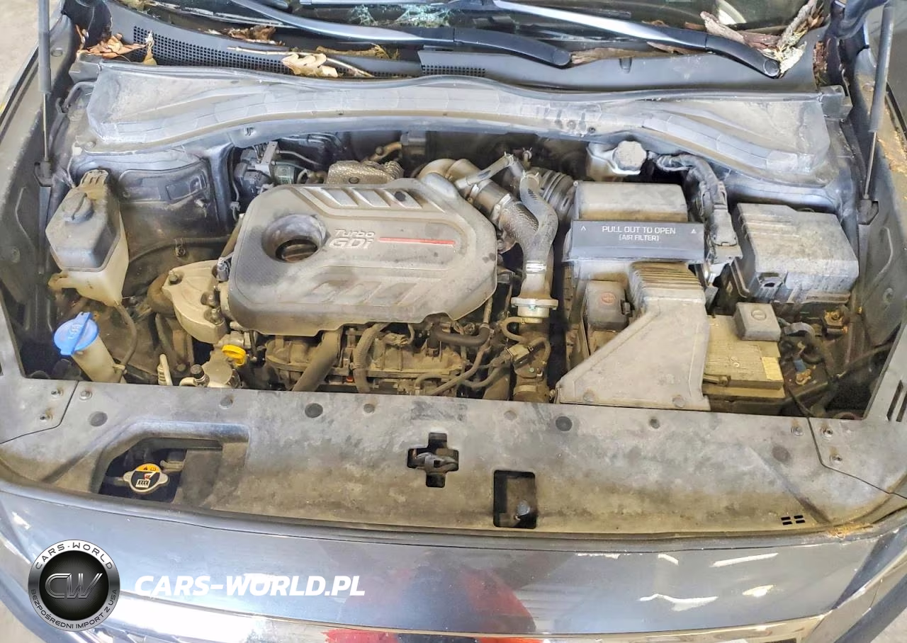 2020 Hyundai Santa Fe Limited 2.0T VIN:5NMS5CAA1LH245428 - 12