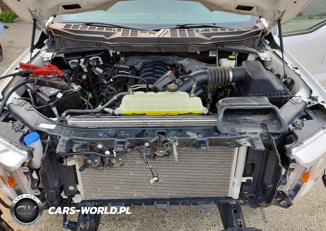 2022 Ford F150 Supercrew VIN:1FTFW1E53NKD28978 - 11