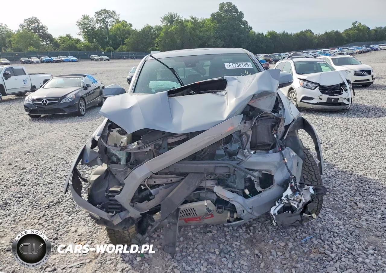 2021 Toyota Tacoma Trd Sport VIN:3TYCZ5AN8MT026315 - 5