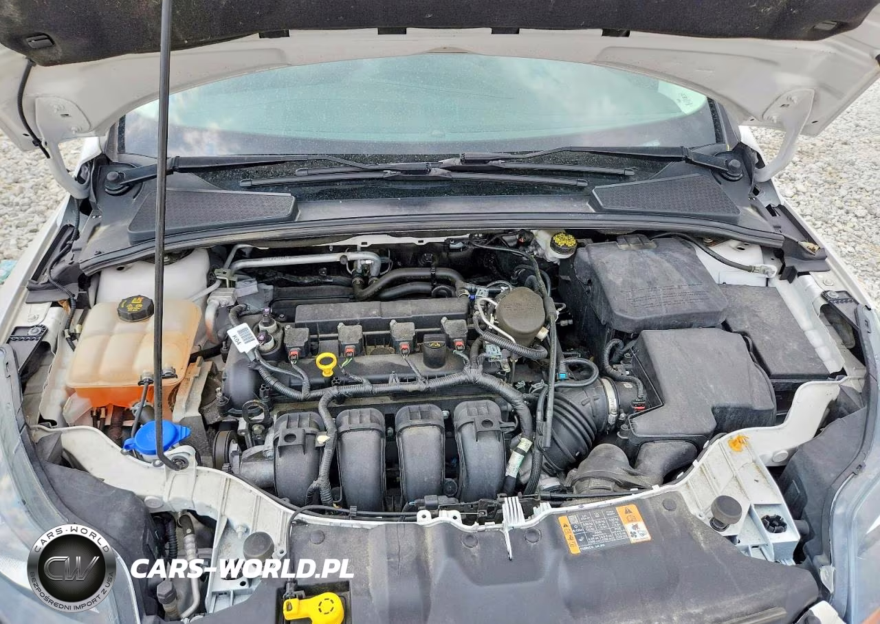 2014 Ford Focus Titanium VIN:1FADP3N27EL439510 - 11