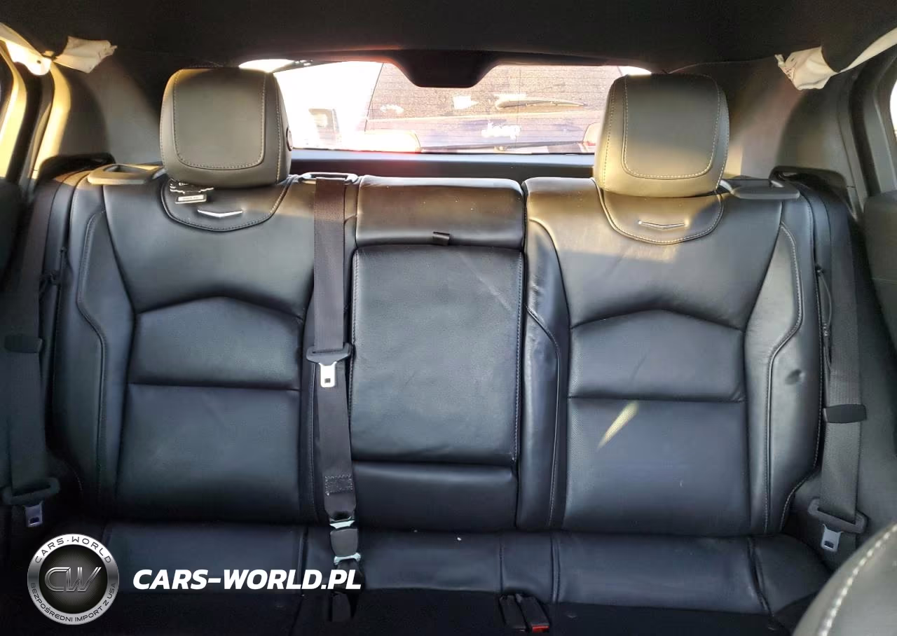 2019 Cadillac Xt4 Premium Luxury VIN:1GYFZCR49KF188003 - 10