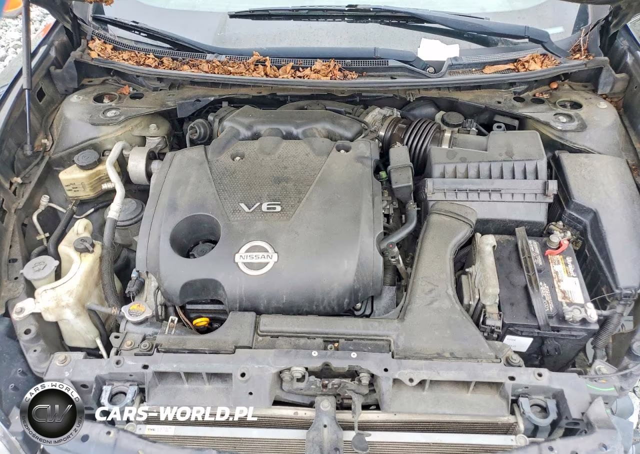 2010 Nissan Maxima 3.5 S VIN:1N4AA5AP1AC844905 - 11