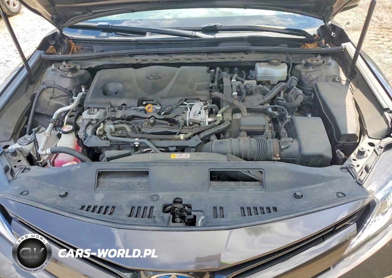 2019 Toyota Camry Le VIN:4T1B31HKXKU509127 - 11