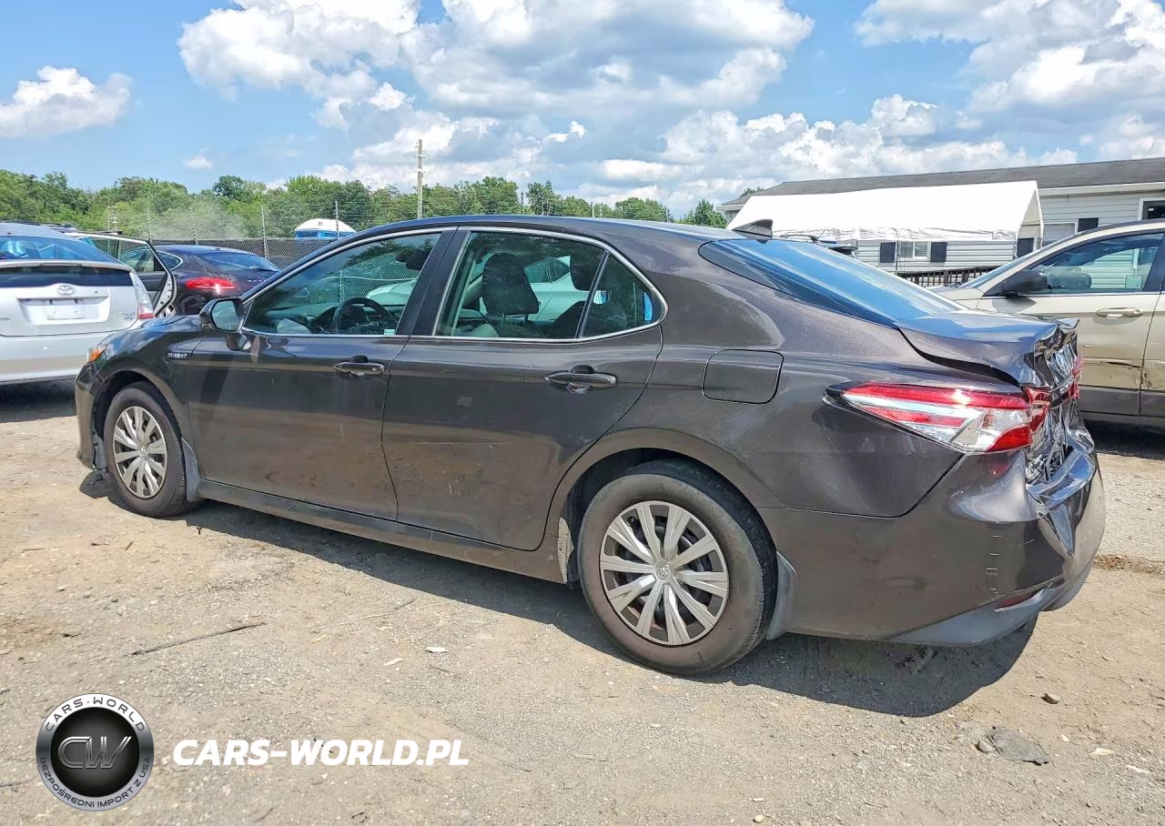 2019 Toyota Camry Le VIN:4T1B31HKXKU509127 - 2