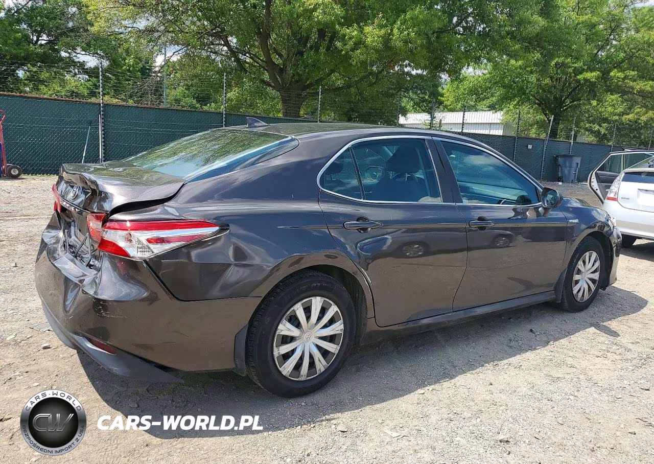 2019 Toyota Camry Le VIN:4T1B31HKXKU509127 - 3