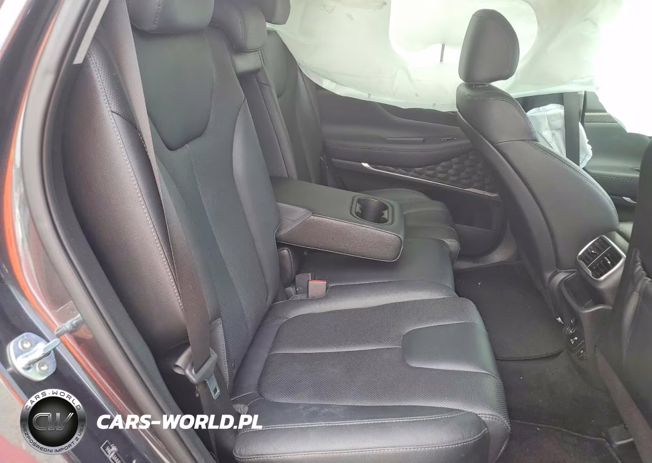 2020 Hyundai Santa Fe Limited 2.0T VIN:5NMS53AAXLH289539 - 11