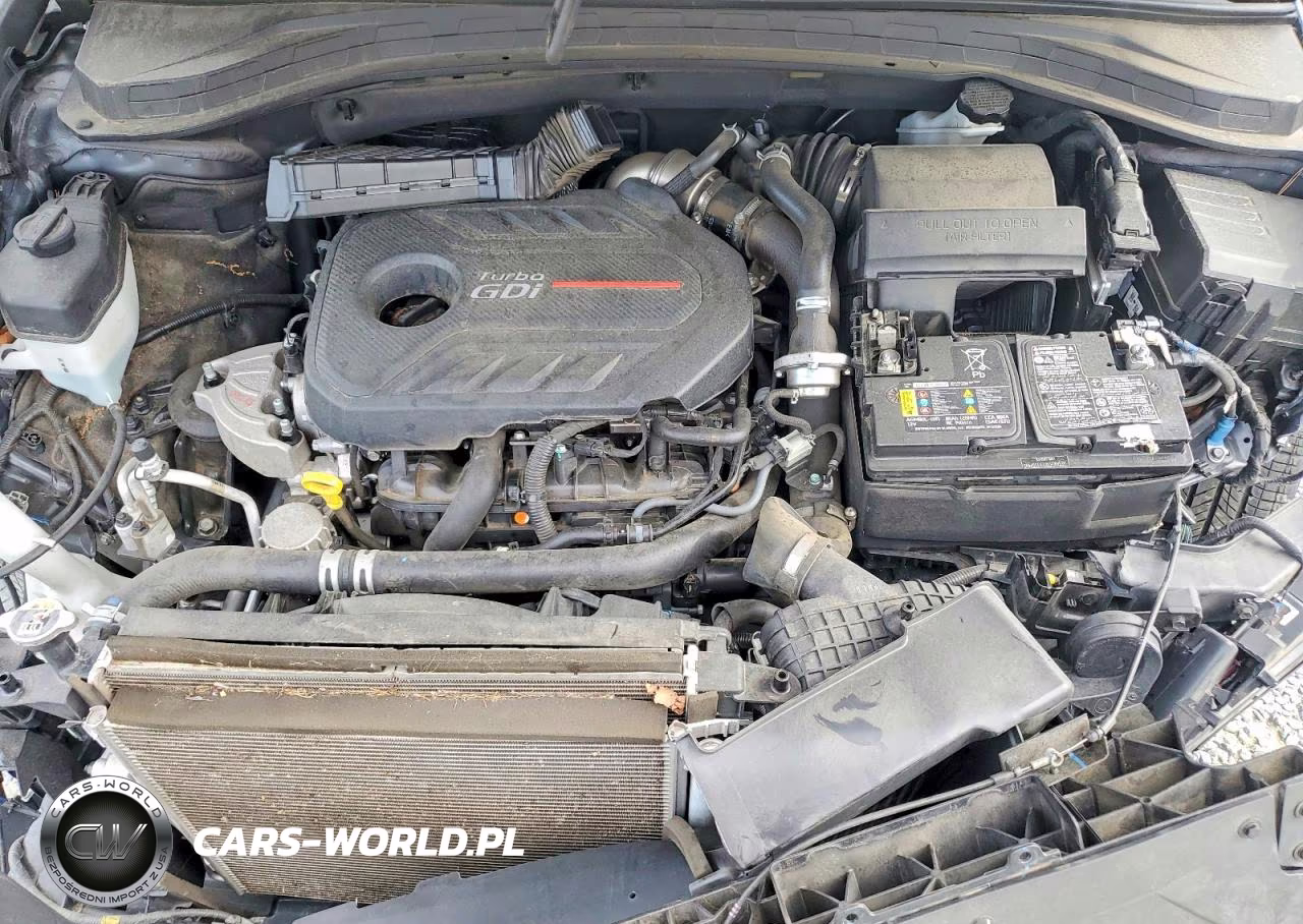 2020 Hyundai Santa Fe Limited 2.0T VIN:5NMS53AAXLH289539 - 12