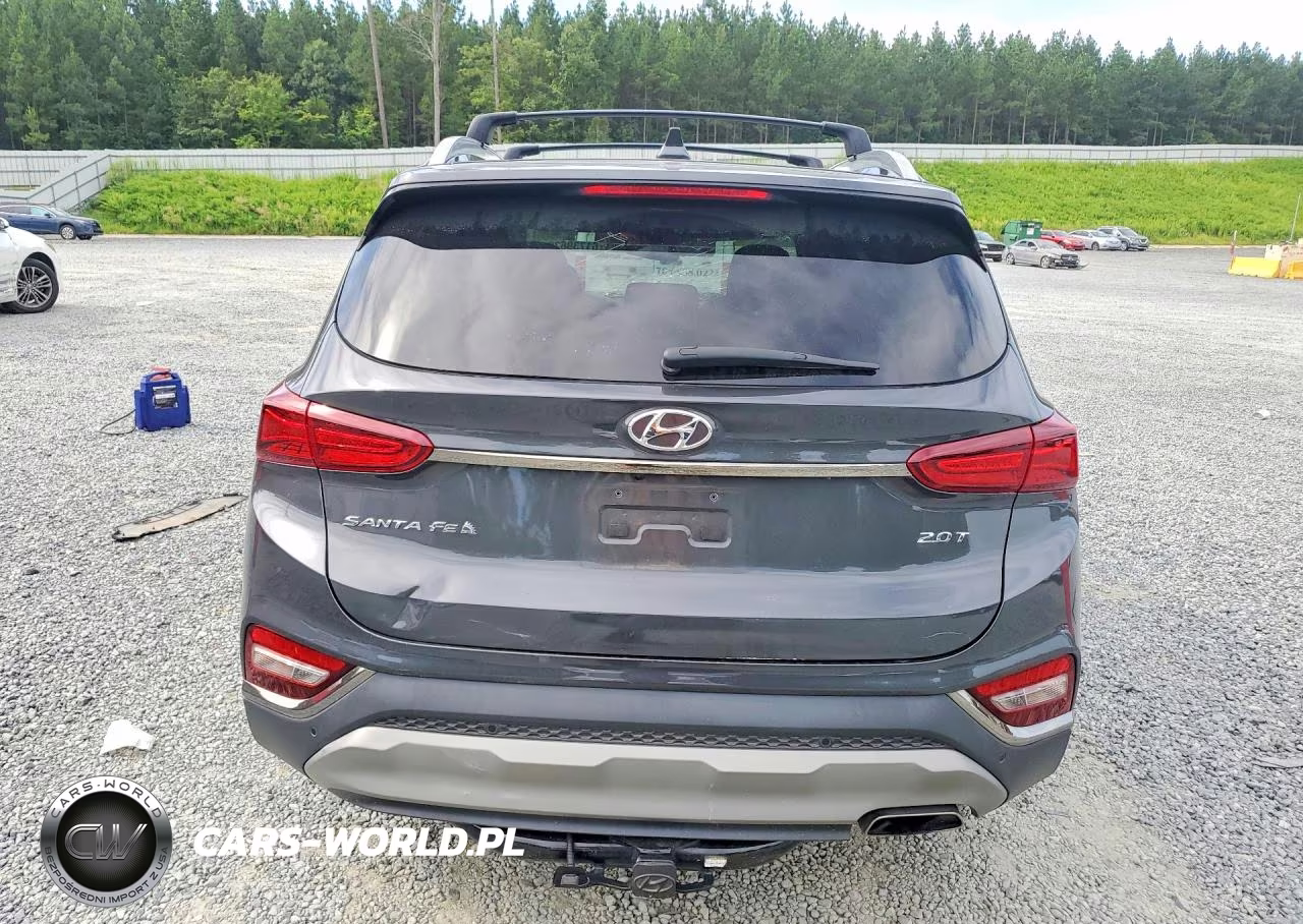 2020 Hyundai Santa Fe Limited 2.0T VIN:5NMS53AAXLH289539 - 6