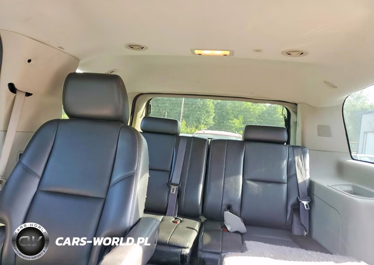 2009 Chevrolet Tahoe K1500 Lt VIN:1GNFK23019R173649 - 10