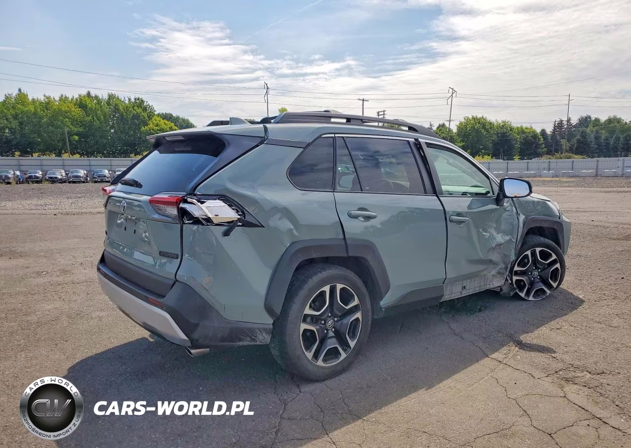 2019 Toyota Rav4 Adventure VIN:2T3J1RFV6KC019449 - 3